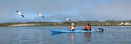 Central Coast Outdoors Kayak Trips