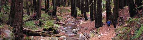 Central Coast
Outdoors Big Sur Hiking Trips