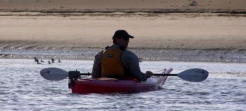 Kayaker and Morro Bay dunes