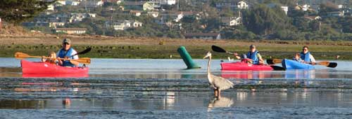 Central Coast Outdoors Kayak Trips