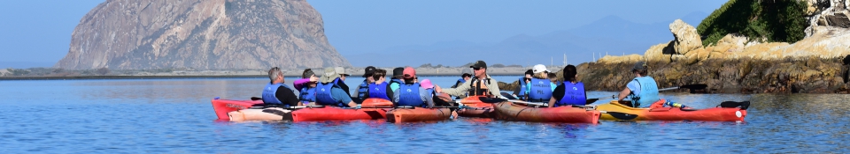 Morro Bay Large Group Kayak Tours