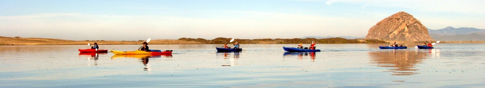 Morro Bay Private Kayak Tours (Family Friendly)