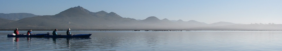 Kayaking: Morro Bay Half Day Classic (Family Friendly)