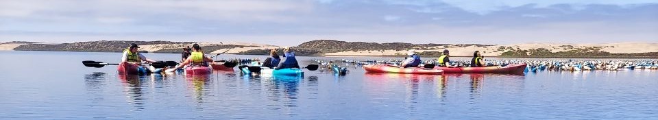 Oyster Farm and Tasting - Private