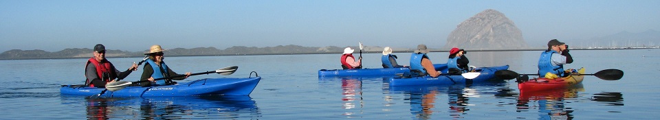 Morro Bay Three Hour Kayak Tour - Private (Family Friendly)