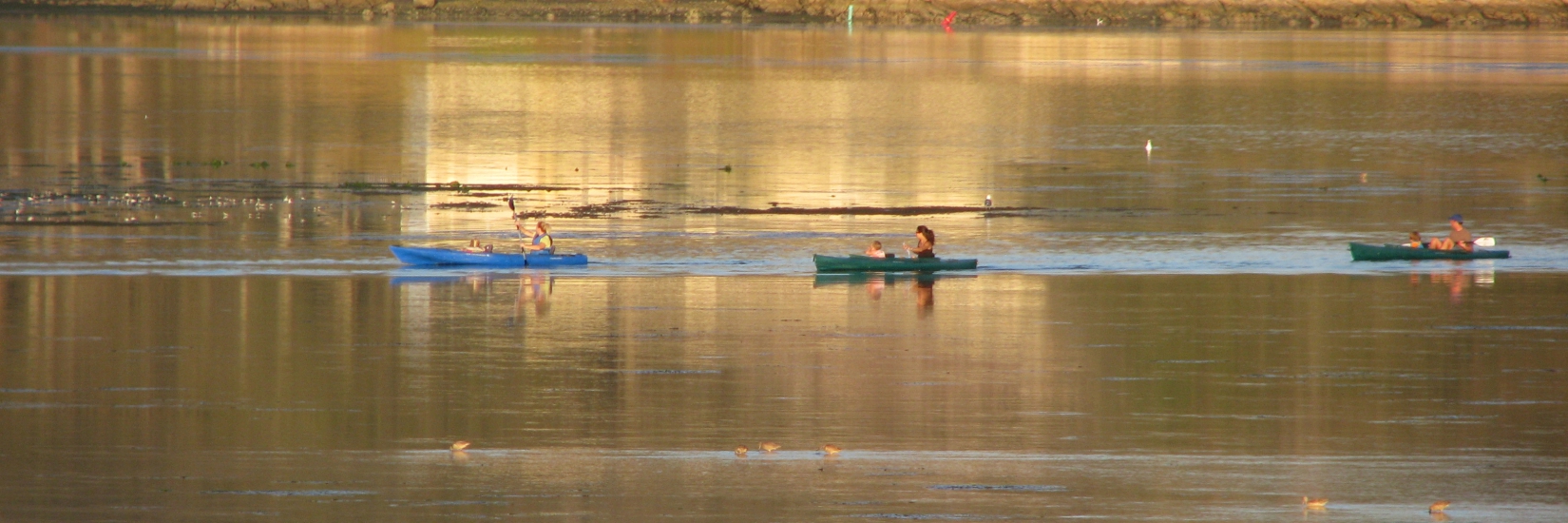 Central Coast Kayaking