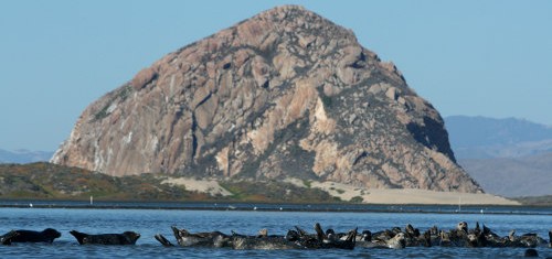 Morro Bay Rock