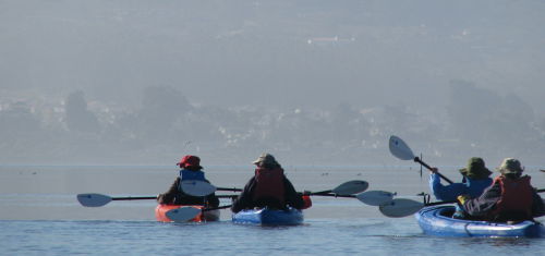 Morro Bay Kayak Group