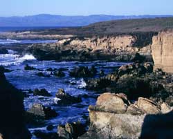 Central Coast Outdoors Montana de Oro Hiking Trip
